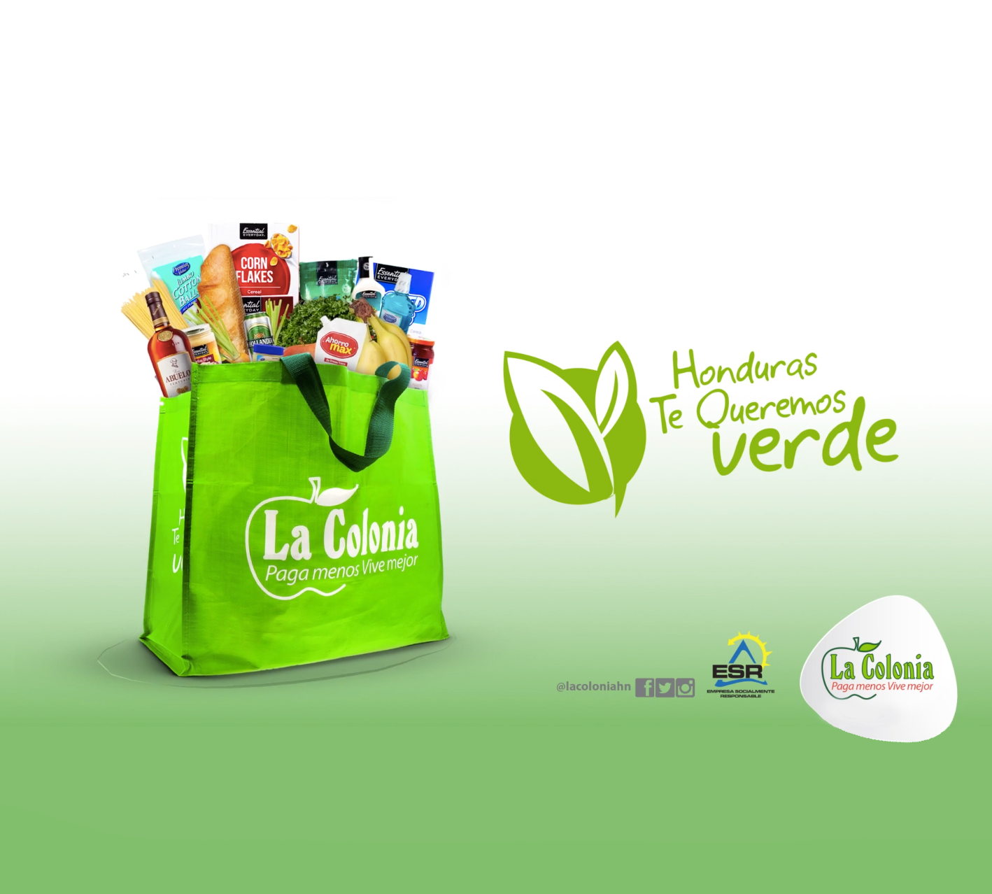 BOLSA REUSABLE SUPERMERCADOS LA COLONIA