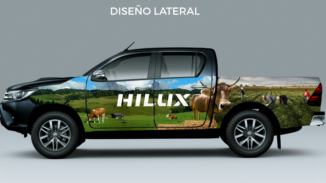 Visualizaciones
