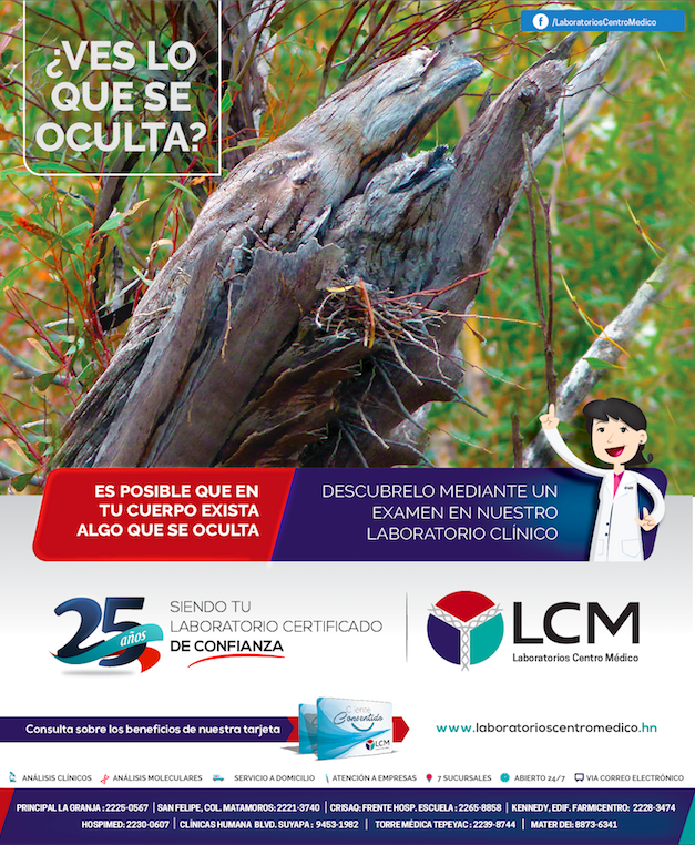 CAMPAÑA INSTITUCIONAL LCM