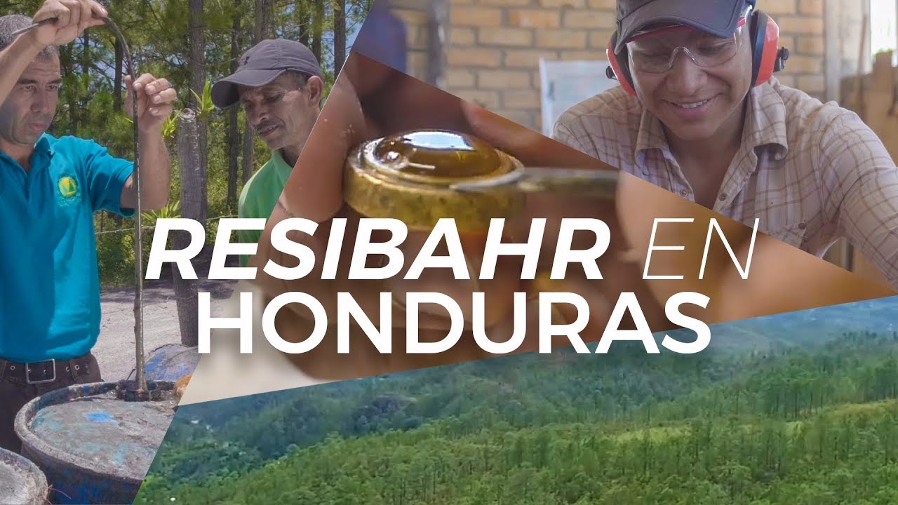 DOCUMENTAL RESIBAHR
