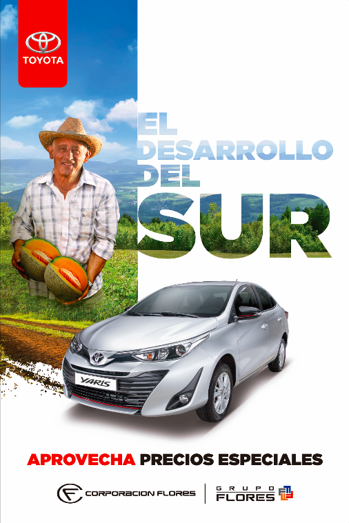 CAMPAÑA TOYOTA ZONA SUR
